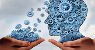 Curso: As “Ferramentas” da Neurociência Aplicadas à Liderança de Alta Performance